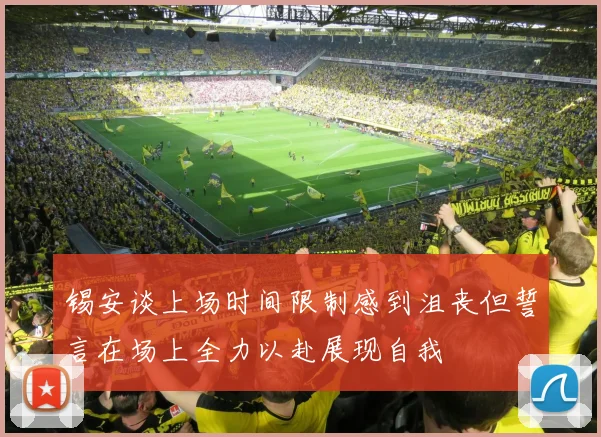 锡安谈上场时间限制感到沮丧但誓言在场上全力以赴展现自我