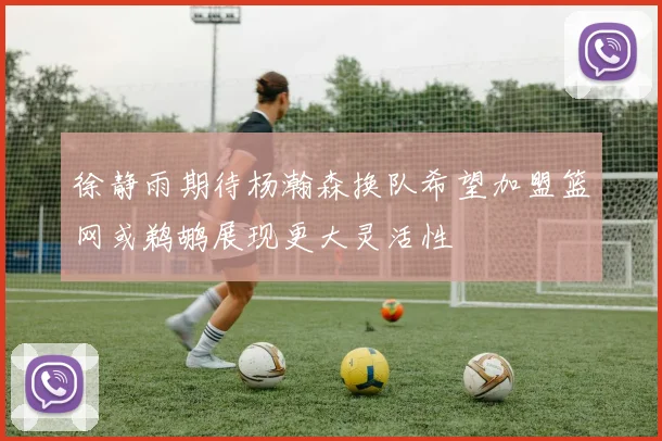 徐静雨期待杨瀚森换队希望加盟篮网或鹈鹕展现更大灵活性