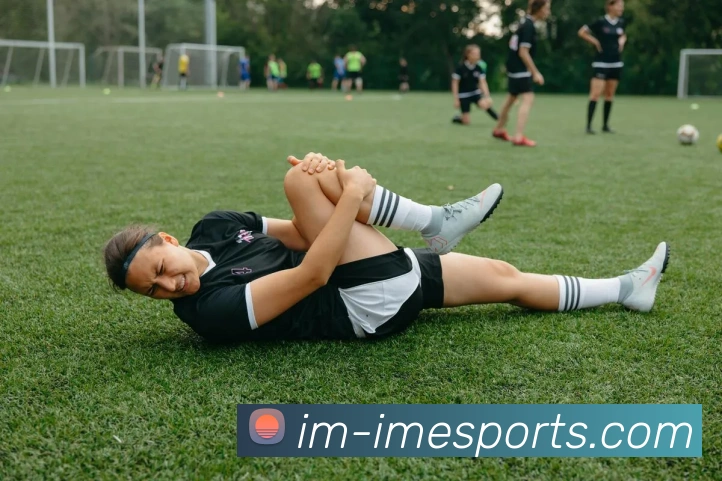 IM电竞平台生态图