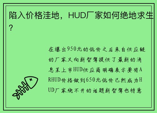 陷入价格洼地，HUD厂家如何绝地求生？